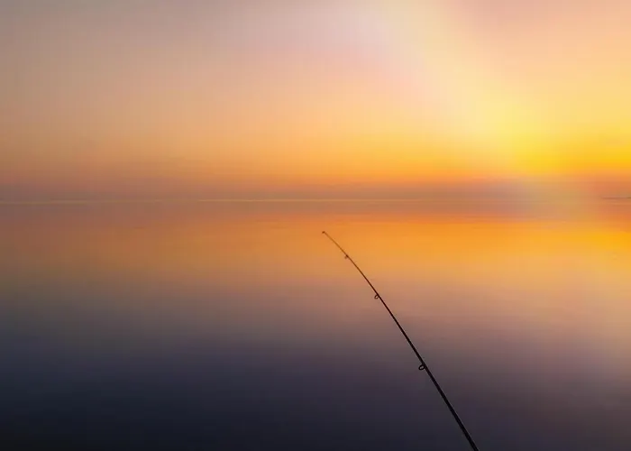 Secret House Off-grid, Sauna And Outdoor Wc * Muriste