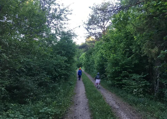 Secret House Off-grid, Sauna And Outdoor Wc Puhkemaja *