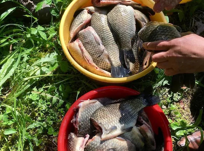 Secret House Off-grid, Sauna And Outdoor Wc Puhkemaja